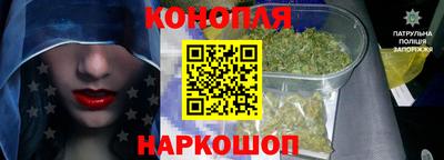 Альфа ПВП Аргун