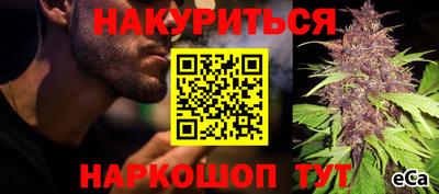 индика Апшеронск