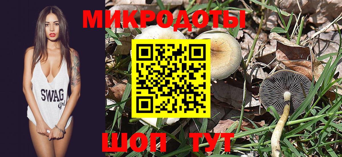 Зеленодольск  Псилоцибиновые грибы Psilocybe  Вход с VPN 